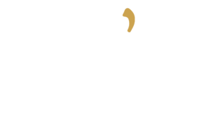 Logo Ann C blanc et doré