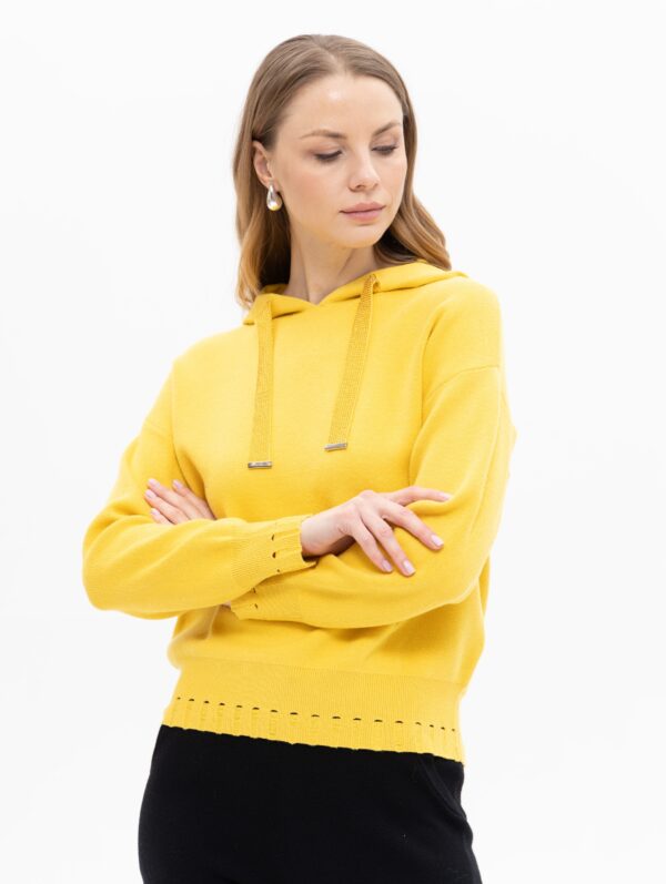 pull capuche passioni ann'c tarbes