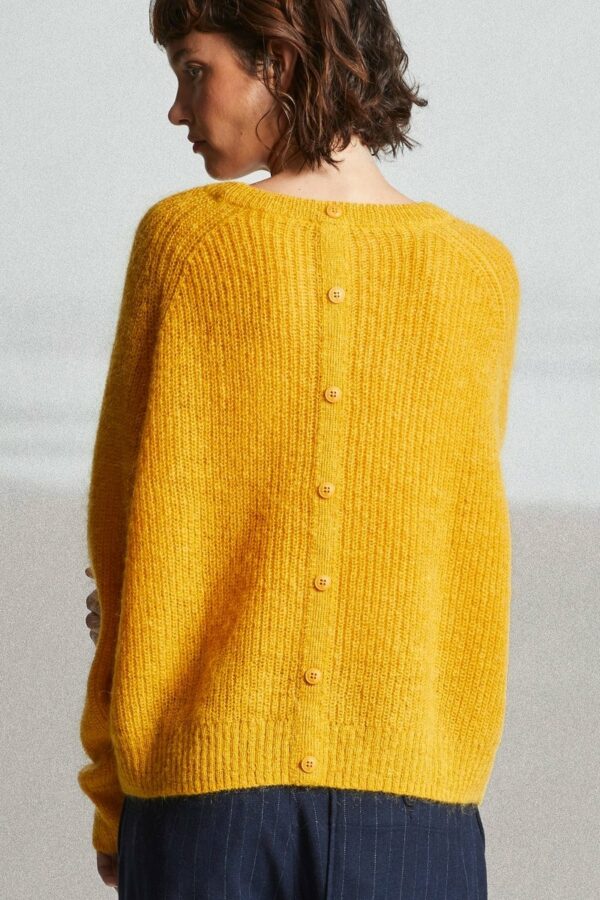 PULL BOUTONS DOS-MAT DE MISAINE ANNC TARBES