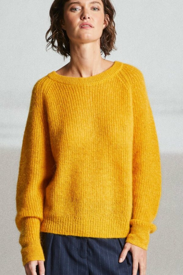 PULL BOUTONS DOS-MAT DE MISAINE ANNC TARBES