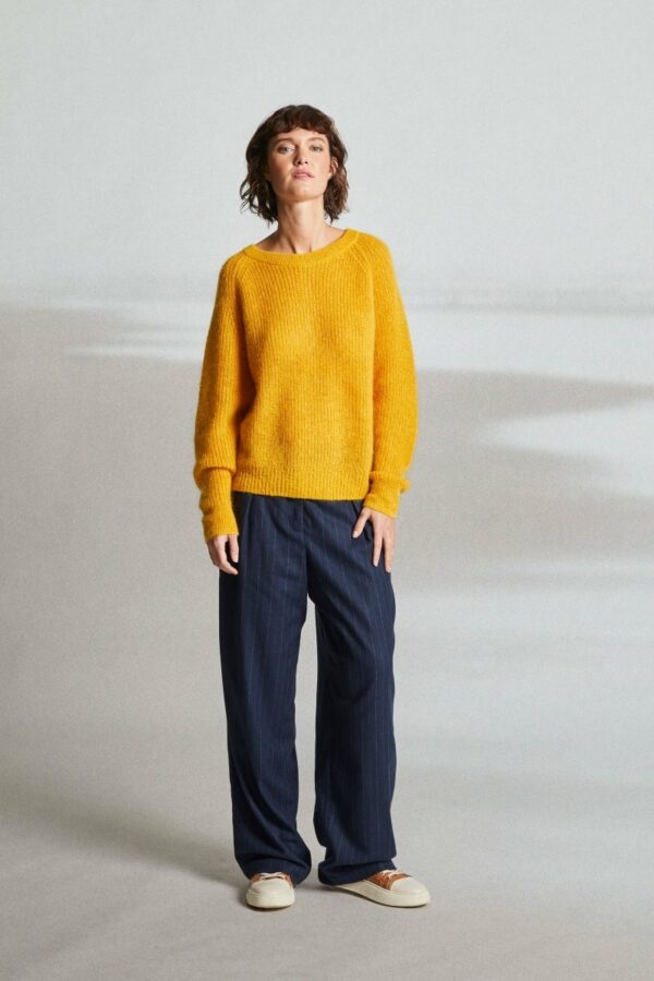 PULL BOUTONS DOS-MAT DE MISAINE ANNC TARBES