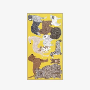 ETOLE COTON TOUTOU INOUI EDITIONS