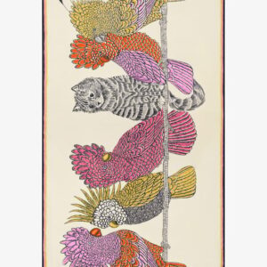 ETOLE COTON CARACAT INOUI EDITIONS