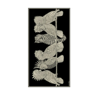 ETOLE COTON CARACAT INOUI EDITIONS